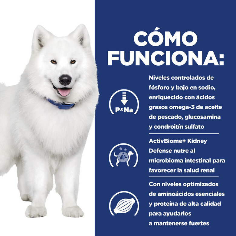 Hill's Prescription Diet k/d + Mobility ração para cães, , large image number null